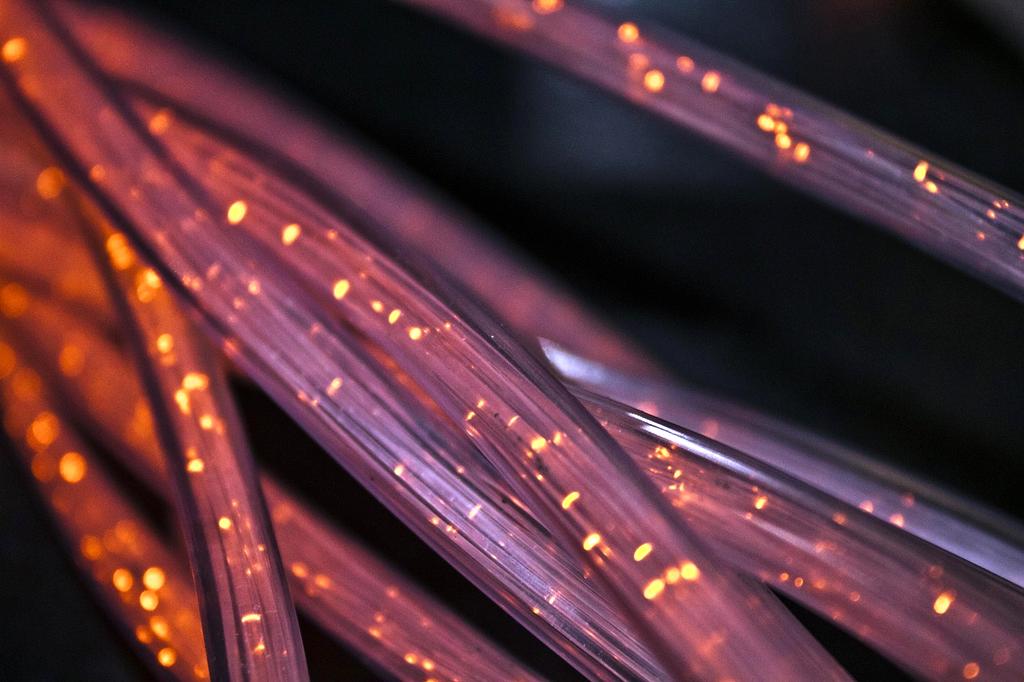 Identity scanner icon