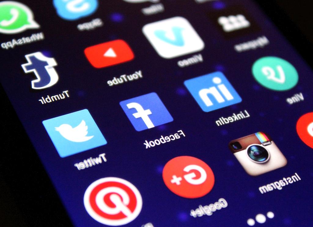 Synaptic network connections visualization